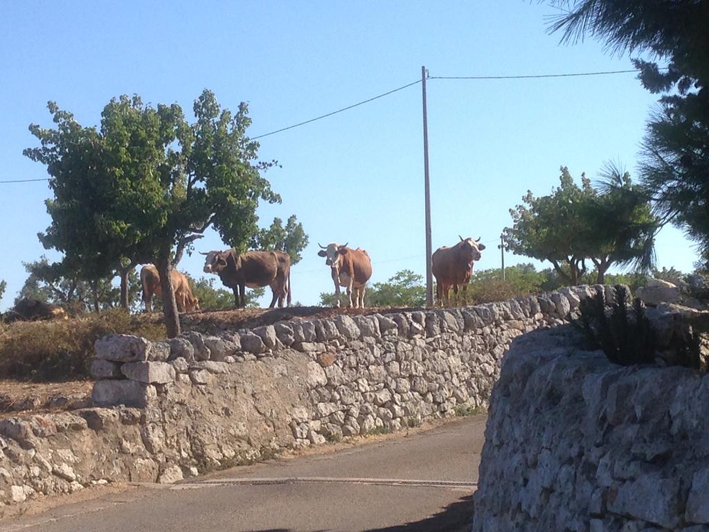 Trullo Picchiagiuda Villa Ostuni Dış mekan fotoğraf
