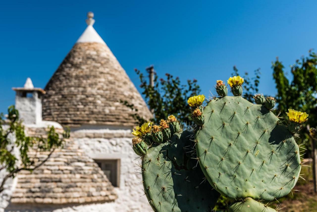 Trullo Picchiagiuda Villa Ostuni Dış mekan fotoğraf
